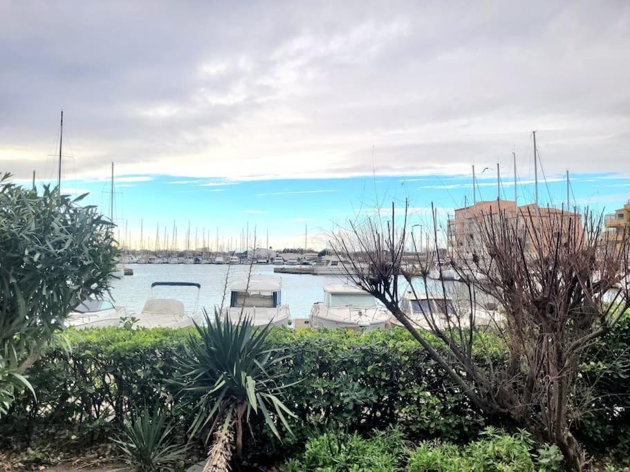 Apartment Bel Sur Le Port Avec Jardin Agde
